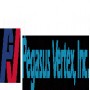Pegasus Vertex, Inc Pegasus Vertex, Inc