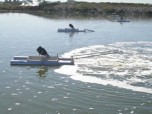 Aerators